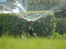 Water besparen in de tuin
