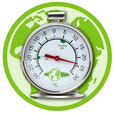 Ecosavers koelkast thermometer